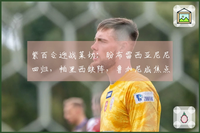 紫百合迎战莱切：盼布雷西亚尼尼回归，帕里西缺阵，鲁加尼成焦点