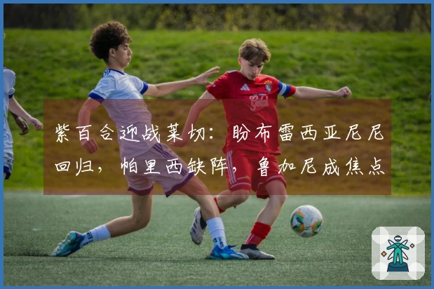 紫百合迎战莱切：盼布雷西亚尼尼回归，帕里西缺阵，鲁加尼成焦点